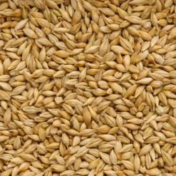 Original Duivergerst 20 kg^Beyers