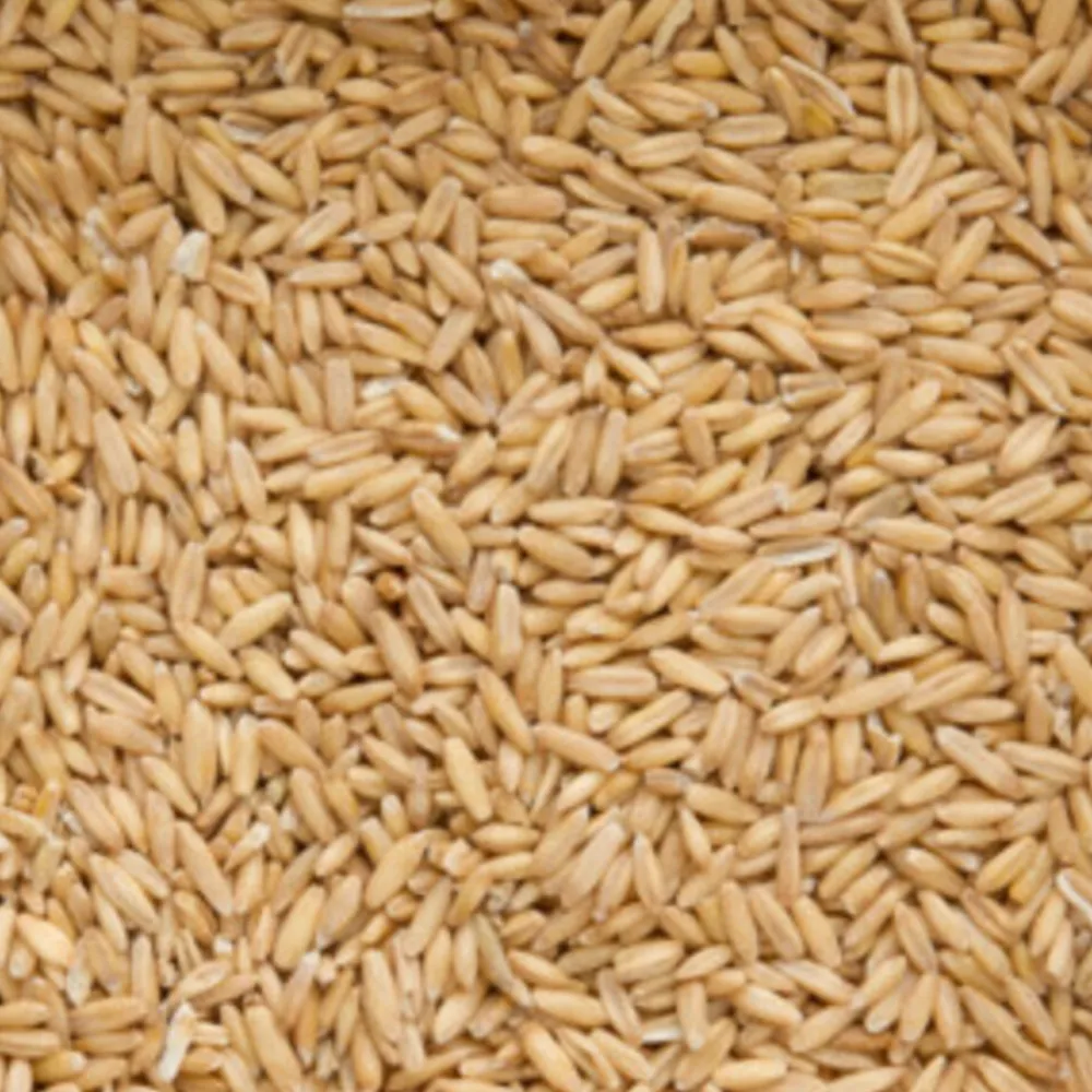 Original Gepelde Haver 20 kg^Beyers