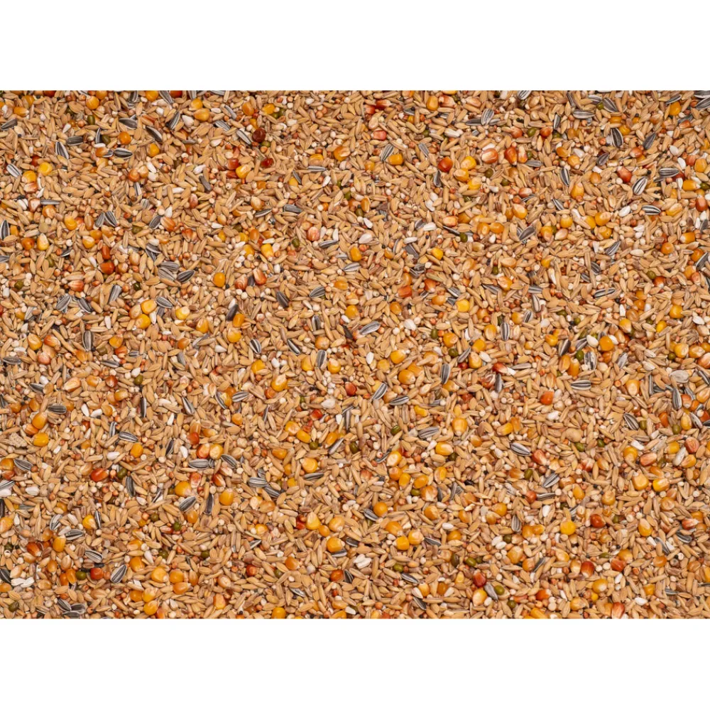 Original Rust- Winter 25 kg^Beyers Discount