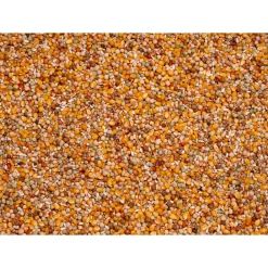 Original Sport 25 kg^Beyers Best