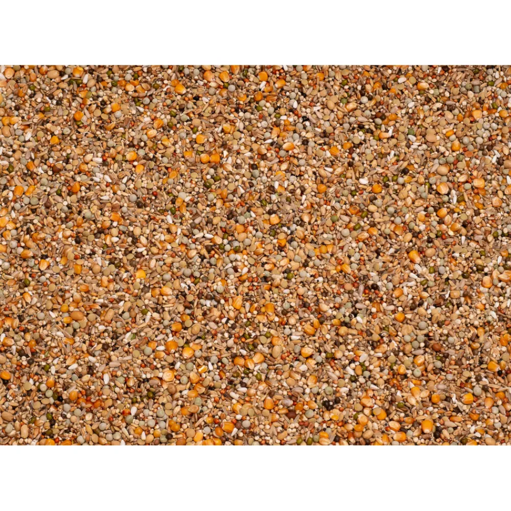 Premium Brilliant 20 kg^Beyers Online