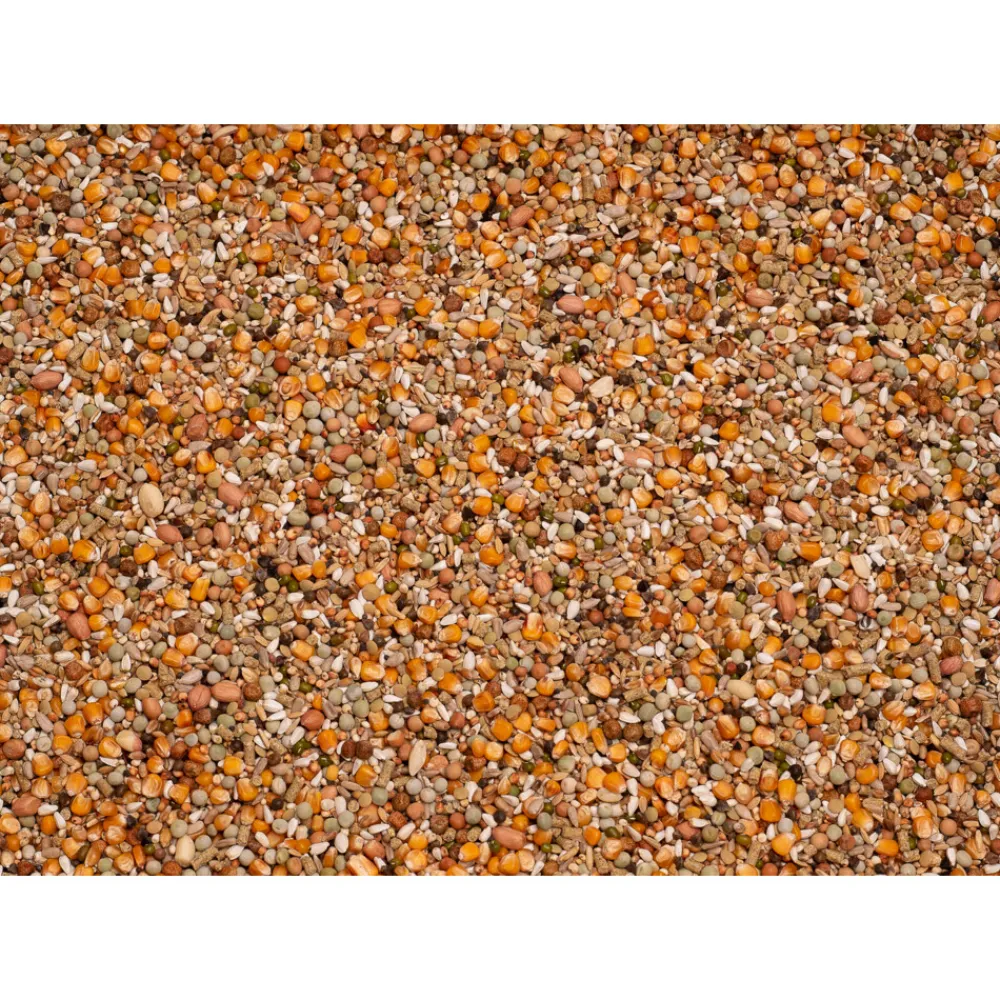 Best Premium Koopman All-in-one 20 kg Duif