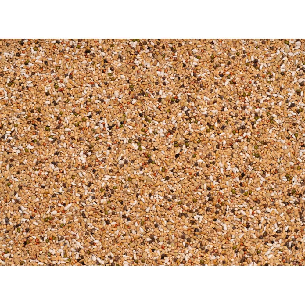 Duif<Beyers Premium Verkerk Light 20 kg