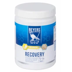 Recovery 600 gr^Beyers Discount