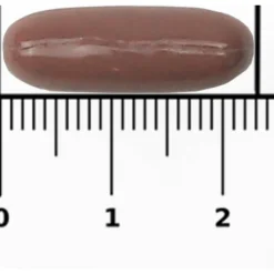 Nachtrust Valeriaan Forte 60 capsules^Bional Sale