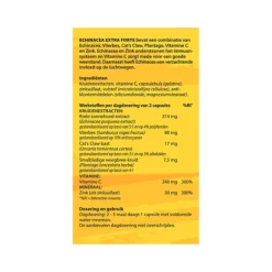 Sale Echinacea 60 capsules Weerstand & Energie