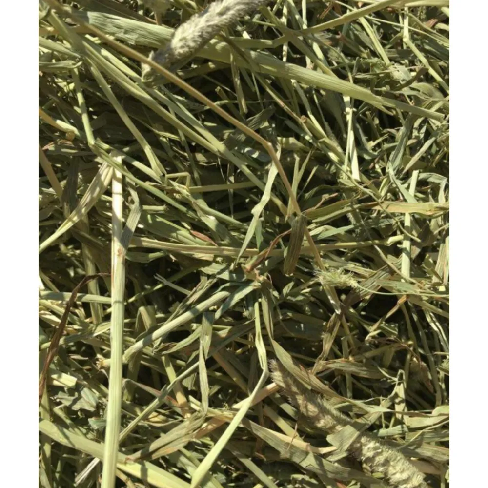 Droogvoer & Zaden<Bunny Nature Timothy Hooi 700 gr