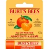 Lippenbalsem Sweet Mandarin blister 4,25 gr^Burts Bees Discount