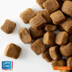 Outlet Hondenvoer Energy 25/16 3 kg Hondenvoer