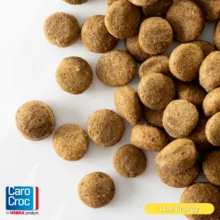 Sale Low energy 22/8 Hondenvoer 3 kg Hondenvoer