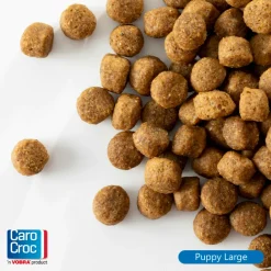 Sale Puppyvoer Large 12,5 kg Hondenvoer