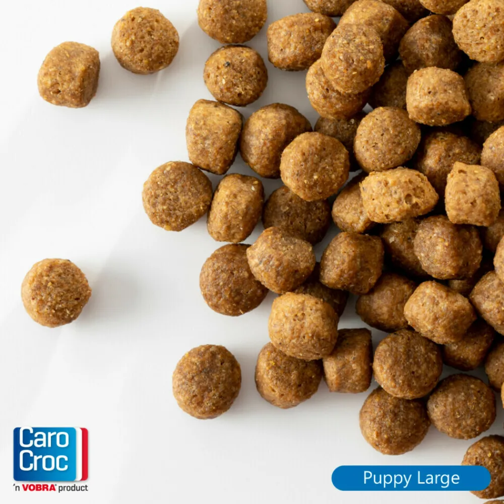 Sale Puppyvoer Large 12,5 kg Hondenvoer