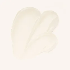 Grip to Last Eyeshadow Primer 010 Made to Stay 8 ml^Catrice Discount