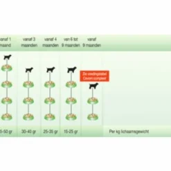 Sale Compleet Hondenvoer Droog Pup - Junior 20 kg Hondenvoer