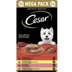 Hondenvoer<Cesar Alu Hondenvoer Multi-pack Kuipje Classic in Pate 24 x 150 gr