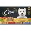 Cuisine in Saus Kuipje Multipack 600 gr^Cesar Online