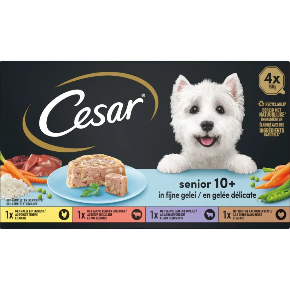 Clearance Senior 10+ in Gelei 600 gr Hondenvoer