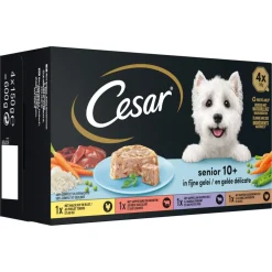 Clearance Senior 10+ in Gelei 600 gr Hondenvoer