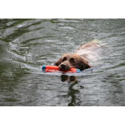 Speelgoed<Chuckit Amphibious Bumper Medium