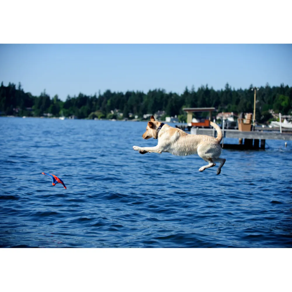 Clearance Flying Squirrel Medium 35 cm Speelgoed