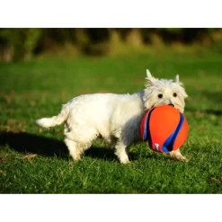 Kick Fetch Voetbal Large ø 19 cm^Chuckit Sale