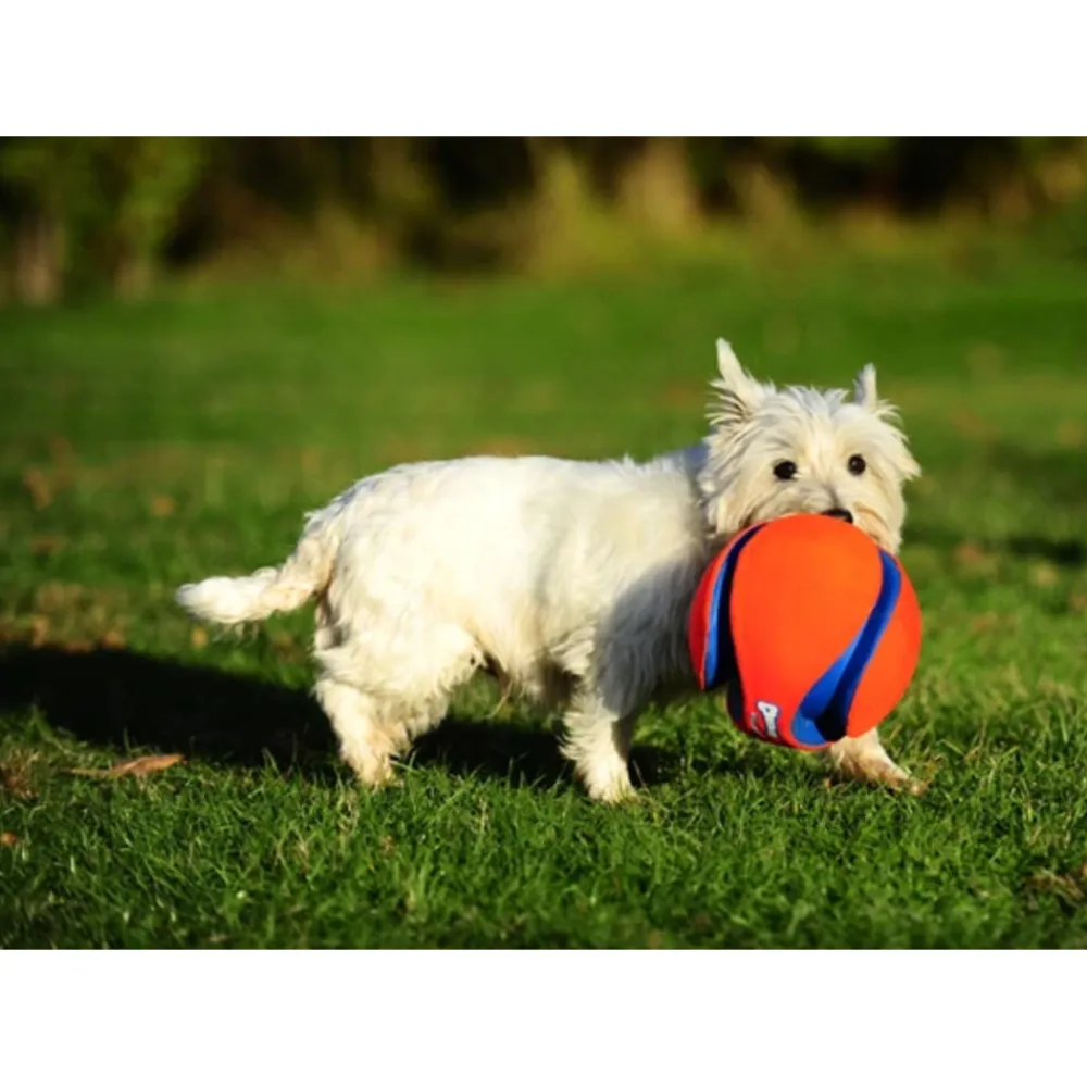 Kick Fetch Voetbal Large ø 19 cm^Chuckit Sale