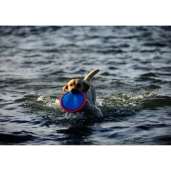 Speelgoed<Chuckit Paraflight Large