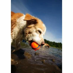 Ultra Ball ø 6 cm^Chuckit New