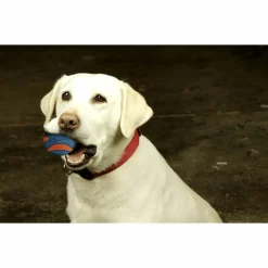 Ultra Squeaker Ball Medium ø 6 cm^Chuckit New