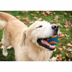 Ultra Squeaker Ball Medium ø 6 cm 2 stuks^Chuckit