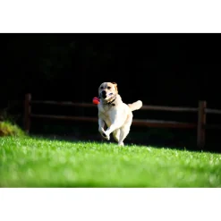 Outlet Ultra Tug Small 5 cm Speelgoed