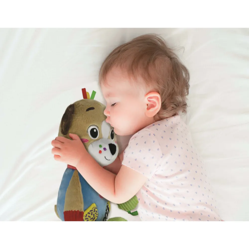 Knuffel in Doos Dog^Clementoni Sale