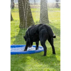 Speelgoed<Coolpets Splash Pool Sproeier 100 cm