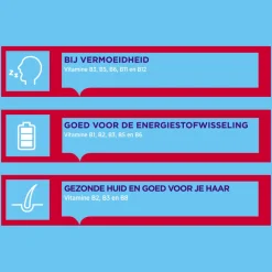 Vitaminen<Dagravit Becoforte B 100 stuks