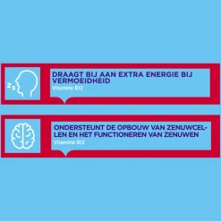 Vitamine B12 1000mcg 100 smelttabletten^Dagravit Hot