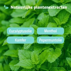 Inhaler 2 in 1 2 ml^Dampo Clearance