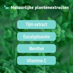 Best Luchtwegen Pastilles Suikervrij 24 zuigtabletten Luchtwegen & Keel