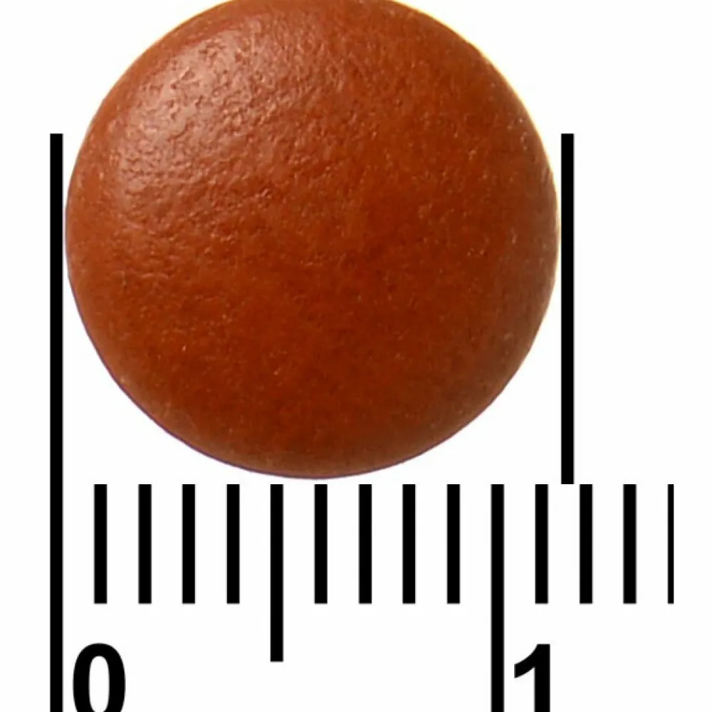 Zwangerschapsvitamine|Vitaminen Vrouw<Davitamon Compleet Mama Fit 60 tabletten