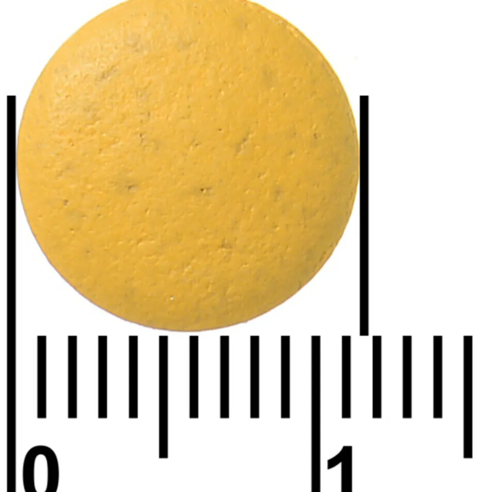 Compleet Zwanger 60 tabletten^Davitamon Hot