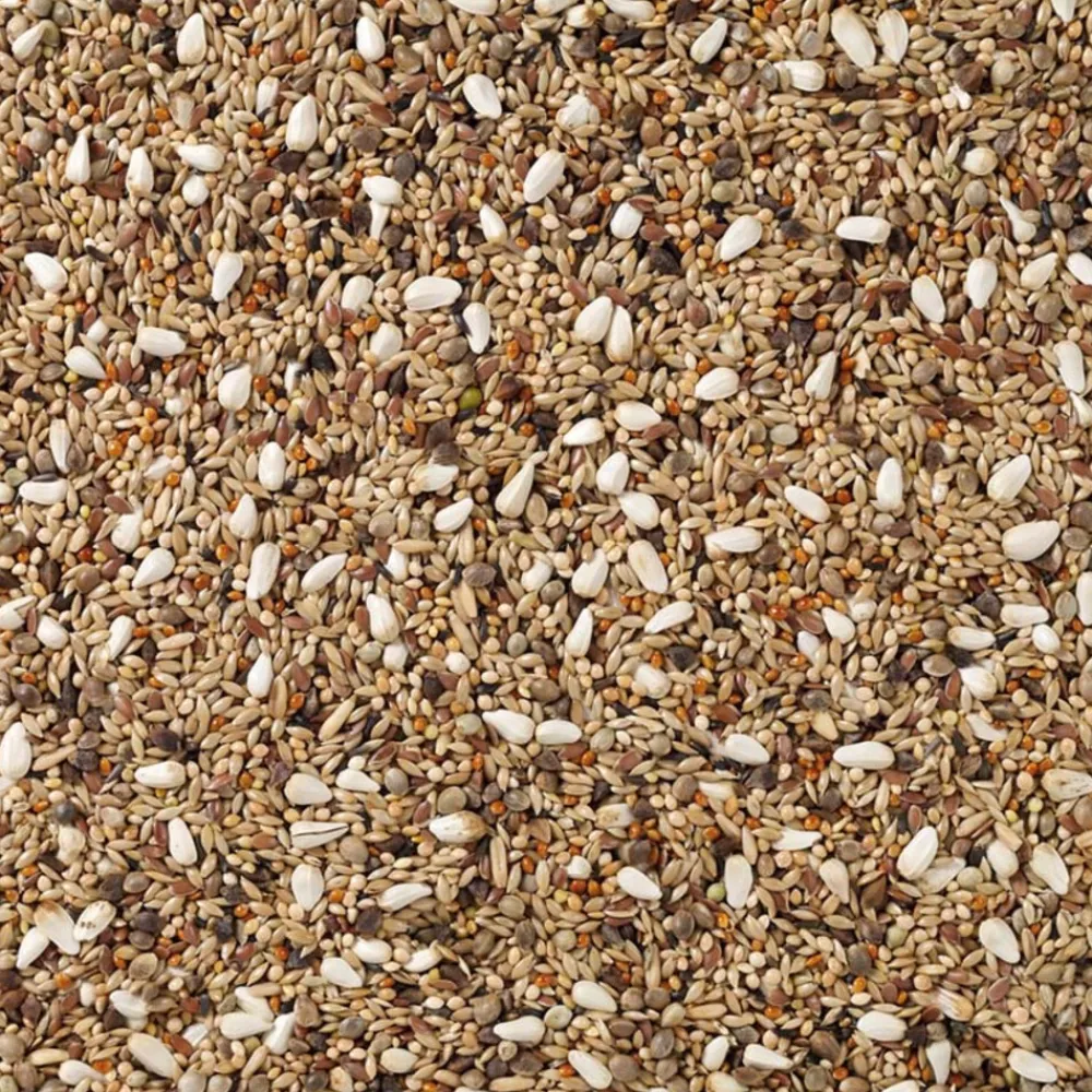 Hot Agapornis Champion Nummer 72 20 kg Droogvoer & Zaden