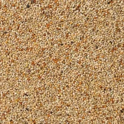 Droogvoer & Zaden<Deli Nature Basis Exoten Nummer 40 20 kg