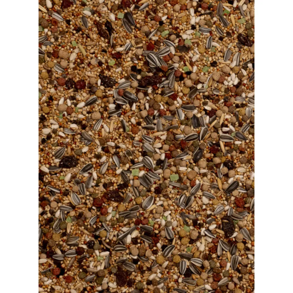 Hot Birdelicious Grote Parkieten Amazonia 2,5 kg Droogvoer & Zaden