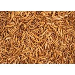 Kip<Deli Nature Chix Meelwormen 500 gr