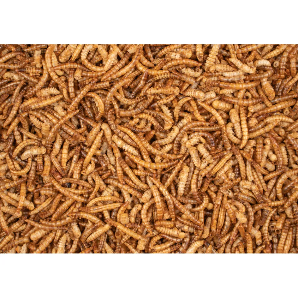 Chix Meelwormen 200 gr^Deli Nature Outlet