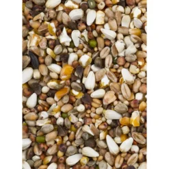 Dovix Tortelduif 20 kg^Deli Nature Best