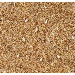 Best Extra + Cardy Parkiet Nummer 36 20 kg Droogvoer & Zaden