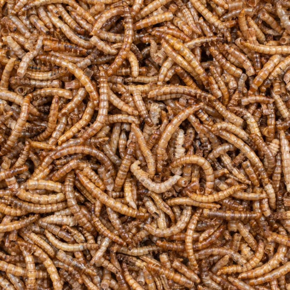 Greenline Meelwormen 700 gr^Deli Nature New