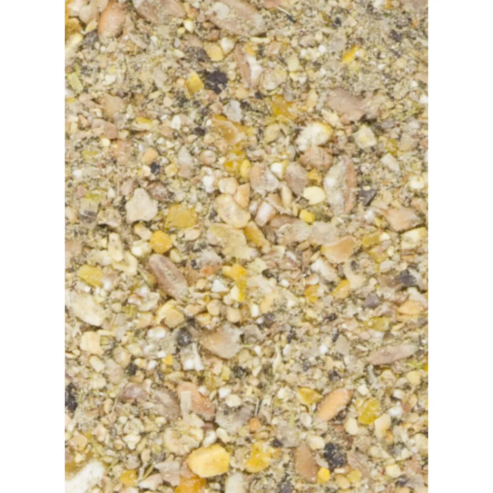 Best Hobby X-line ChiX Start Meel 20 kg Kip