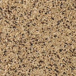 Kanarie Light Nummer 65 20 kg^Deli Nature Outlet