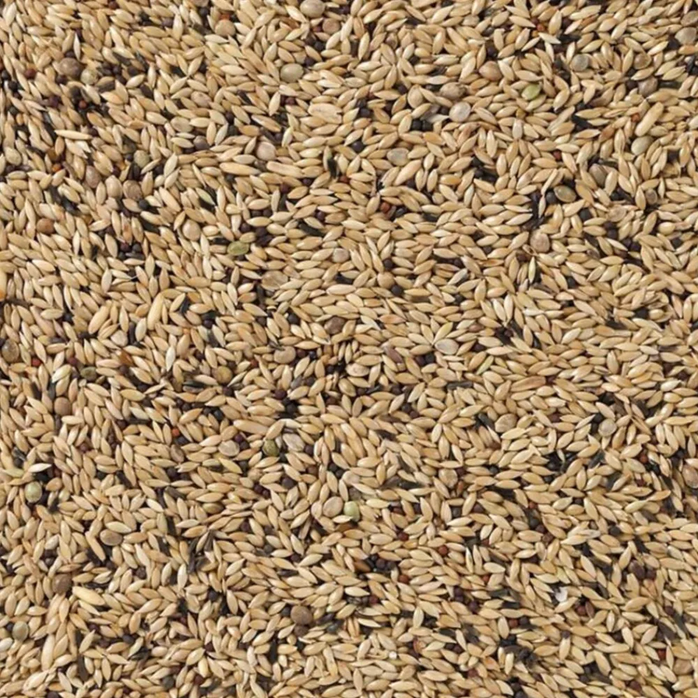 Kanarie Light Nummer 65 20 kg^Deli Nature Outlet